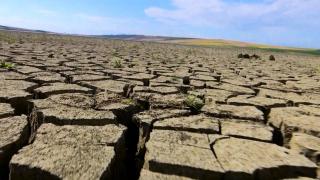 ”Ia uitaţi, e piatră!”. Un lac important din România, care asigura apă pentru zeci de mii de oameni, a secat complet