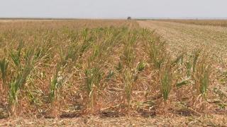 De ce au cerut fermierii din ţară declararea stării de calamitate