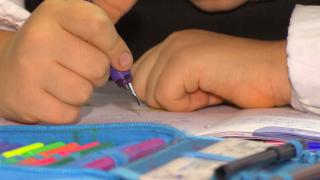 Un profesor pedofil, căutat de 6 ani de poliţiştii din Brazilia a fost prins în Vaslui. Bărbatul, acuzat că a abuzat o elevă de 13 ani