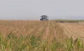 Fermierii cer Guvernului declararea stării de calamitate. Implicaţiile financiare ale unei asemenea decizii