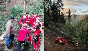 Un bărbat a fost la un pas de moarte, după ce un copac s-a prăbușit peste el. Intervenția rapidă a salvamontiștilor l-a salvat