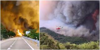"Mamă, Doamne!". Flăcări uriașe în apropiere de DN1, zeci de hectare de vegetație s-au făcut scrum