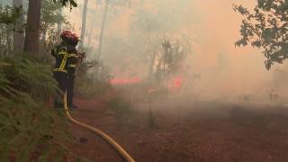 Caniculă şi temperaturi fără precedent în Europa. 1.100 de oameni au murit şi zeci de mii de persoane au fost evacuate din calea incendiilor devastatoare