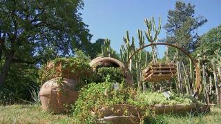 Planta care înflorește la 20 de ani de la plantare. Fenomen rar în Cluj-Napoca