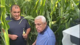 Petre Daea, în lanul de porumb, fascinat de sistemul de irigaţii folosit de un fermier: "Iată ce înseamnă solul României!"