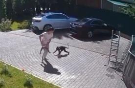 Fetiţă de 2 ani, atacată de o maimuţă evadată din grădina zoologică a unui vecin. Paulina, refugiată din Ucraina, luptă pentru viaţă la Terapie Intensivă