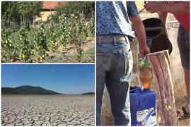 "I-aș băga în pușcărie". Reacţia unui primar din România, furios pe cei care "irosesc" apa să-şi ude culturile, când e secetă