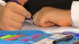 Doi bărbaţi din Neamţ, arestaţi după ce şi-au violat nepoata de doar opt ani. Mătuşa copilei a fost cea care a sunat la 112