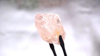 Cel mai mare diamant roz din lume a fost descoperit într-o mină din Angola. Câte karate are "Trandafirul din Lulo"