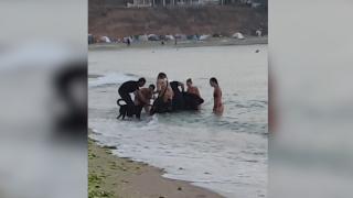 Păţania unui motociclist care a vrut să se bucure de răsăritul din Vama Veche. Gestul tânărului teribilist după ce a ajuns cu motorul în mare