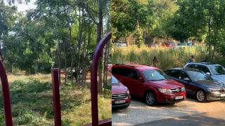 Autorităţile fac curăţenie la cea mai mare policlinică din Capitală, după ce medicii s-au plâns că intra şobolanii pe geam