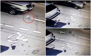 Cruzime extremă la Galaţi. Momentul în care un câine este călcat de şoferul unei maşini de la pompe funebre