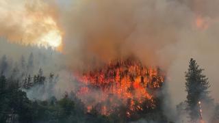 Incendiu de pădure devastator în California. Peste 2.000 de oameni au fost evacuaţi