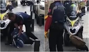 Un "vizitator" neobișnuit le-a dat de furcă polițiștilor din Madrid, după ce a blocat traficul şi a speriat trecătorii