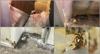 Tone de pește stricat și plin de gheață, confiscate de inspectorii ANPC. Din spații pline de mucegai, direct pe masa românilor