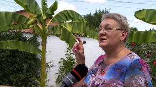 Afacerea cu care a dat lovitura o româncă. Se poate vinde și cu 125 de lei bucata