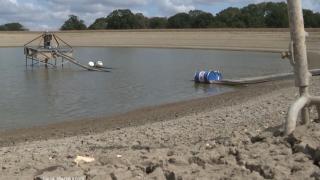 Vremea, la extreme pe întreg Pământul. 100 de localităţi au rămas fără apă potabilă în Franţa. Ploi torenţiale în deşert, în SUA