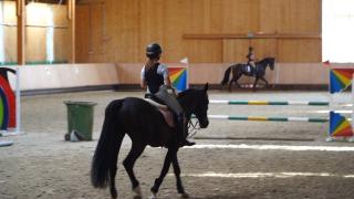 Echitaţia, un sport din ce în ce mai popular printre români. Ce trebuie să ştii înainte de a te înscrie la prima lecţie