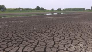 Seceta care a lovit Europa, cea mai severă din ultimele secole, seacă marile râuri şi fluvii. "Apa a dispărut pur și simplu"