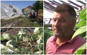 "De-o mâncare şi la revedere, atât mai am". O furtună de 15 minute a pus la pământ solariile, într-o localitate din Galaţi
