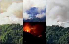 "Stăm cu sufletul cât un purice". Mărturiile românilor de pe insula Thassos. Paradisul grecesc, înghiţit de flăcări