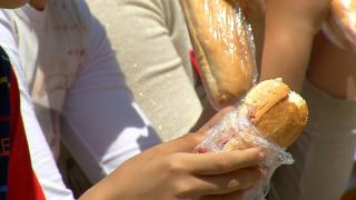 Programul "Lapte, corn şi măr" din şcoli se transformă în vizită la fermă, în Braşov