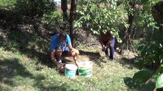 Pălinca, mai scumpă şi cu 15 lei din cauza secetei prelungite. De la iarnă, preţul va fi şi mai mare