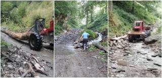 Filmați cum distrug albia râului Șușița Verde. Muncitorii unor firme de exploatare forestieră, surprinși cum trag buștenii cu tractoarele