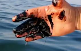 Zeci de pete de petrol descoperite de pescari în Marea Neagră, aproape de litoralul românesc