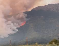 Insula Thassos, cuprinsă din nou de flăcări, la doar două zile după ultimul incendiu