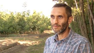 Afacerea cu care un prahovean a dat lovitura. Cu cât se vinde un kilogram de "rubin"