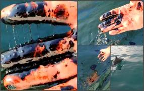 Misterul petei din Marea Neagră, lângă Portul Constanţa. Autoritatea navală dă vina pe două vapoare scufundate acum 30 de ani