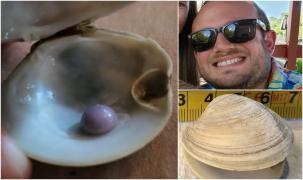 American îmbogățit instant de o mică perlă mov, găsită în porţia de scoici. A fost la un pas să refuze farfuria din cauza ardeilor iuţi