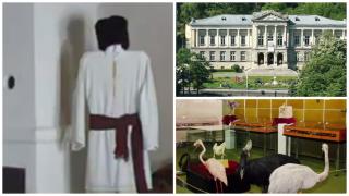 Primul județ din România care lansează un tourist-pass. Cât costă și ce obiective poți vizita cu el