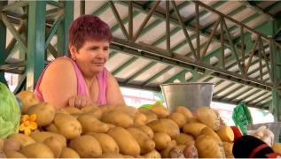 Cartoful, cel mai scump produs din ultimul an, a început să se ieftinească. În doar o luna, preţul a scăzut cu 13%