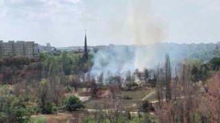 Incendiu în parcul IOR din Capitală. Flăcările au mistuit 5.000 de metri pătrați de vegetație