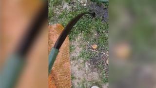 Apă cu noroi la robinet, în localitatea Baia de Fier, din Gorj. Compania susține că poate fi consumată