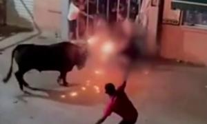Scene de groază. Tânăr de 24 de ani, ucis de un taur cu coarnele în flăcări în timpul unui festival din Spania