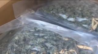 Amendă record de 750.000 de euro şi trei ani de închisoare pentru un şofer român, prins cu 200 de kg de canabis în dubă, în Franţa