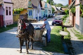 Guvernul schimbă regulile pentru asistaţii social. În ce condiţii statul le mai dă bani: mulţi spun că mai degrabă ar renunţa la ajutor