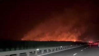Incendiu de vegetaţie lângă Autostrada Soarelui. Flăcările puternice au speriat şoferii care veneau spre Bucureşti