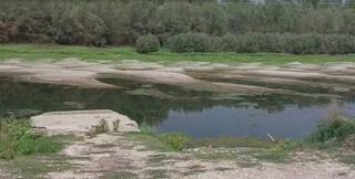 Seceta extremă dezvăluie un peisaj dezolant pe Dunăre. În unele zone, poate fi trecută la pas: "N-a mai rămas nici apă, decât pădure şi puţine băltoace"