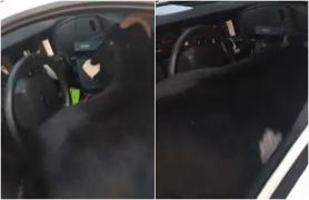 S-a luptat cot la cot cu o capră care i-a mâncat documentele. Povestea amuzantă a unui poliţist din SUA