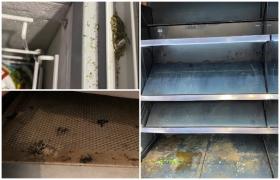 Peste 250 de magazine Penny, din cele 300 din România, amendate cu 3,5 milioane de lei de ANPC. Neregulile găsite: "Alte sancţiuni, aceleaşi abateri!"