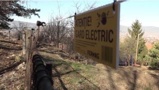 Românii vor putea cere până la 15.000 de lei pentru a monta garduri electrice care să ţină la depărtare animalele sălbatice. Proiectul trebuie aprobat de ministrul Mediului