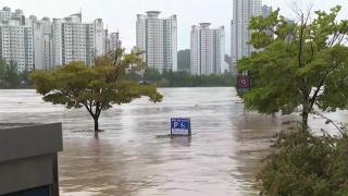 Taifun dezlănţuit cu putere, în Coreea de Sud. Măsuri de urgenţă după inundaţiile şi rafalele de 150 km/h care au măturat ţara