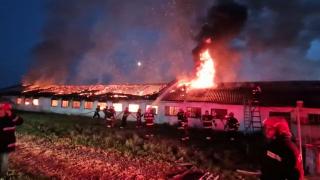 "O bubuitură în mijlocul halei, am văzut că ia foc". O fabrică de mobilă, făcută scrum în urma unui incendiu puternic în judeţul Timiş