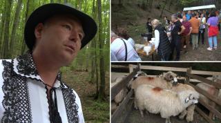 "Nu ştiu ce e, dar e curcubeu pe cerul gurii!" Paranghelie cu multă carne la Balul Ciobanilor din Șoimuș. S-a făcut și o expoziție de oi