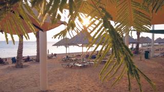 Reportaj Observator din Aqaba, Iordania. Comorile din Marea Roşie care aşteaptă să fie descoperite de turişti