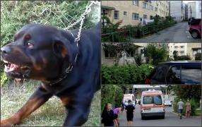 O asistentă din Mangalia, la un pas de moarte, după ce a fost atacată de un rottwailer. Proprietara animalului: "Aş da timpul înapoi, dar nu am ce să fac momentan"